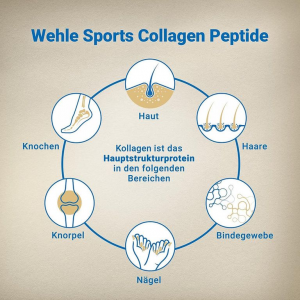Коллаген  I, II, III  типа  (коллагеновый пептид премиум-класса )Wehle Sports 1000гр