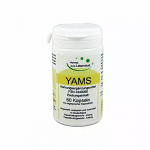  Экстракт корня Ямса 700мг+ витамин С, Yams Wurzel 60шт.